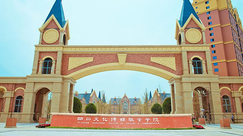政府大型会议策划规范：如何打造一场高效、合规的盛会