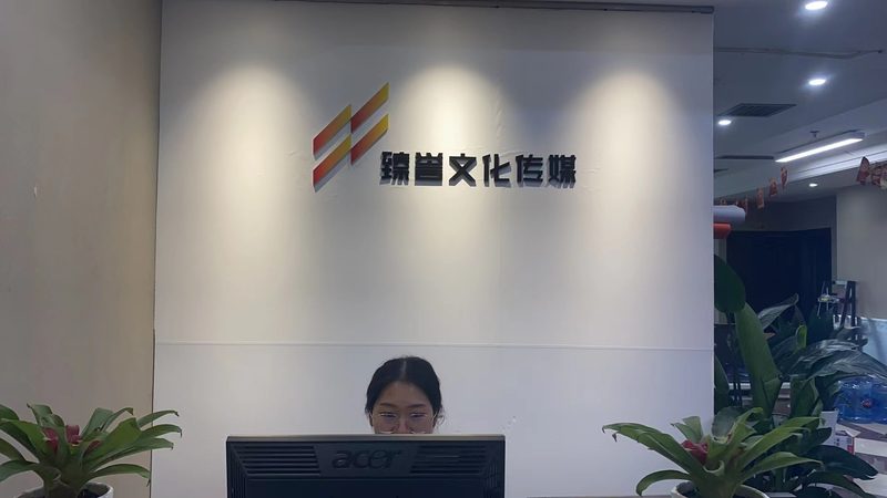 品牌设计流程：揭秘标准化规范背后的秘密